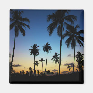 Strand und Küstenort   Praia Do Forte Magnet