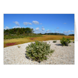 Strand und Marsh Notecard
