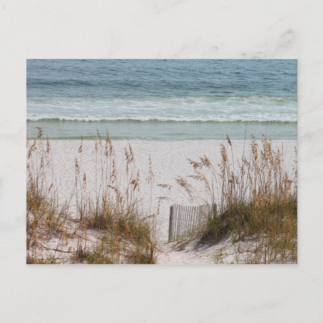 Strand und Ozean Postkarte (Vorderseite)