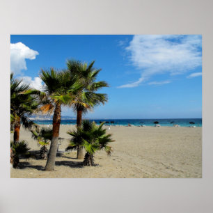 Strand und Palmen in Puerto Banus Poster
