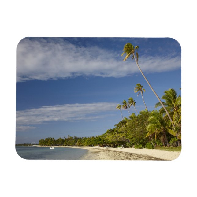 Strand und Palmen, Plantation Island Resort Magnet (Horizontal)