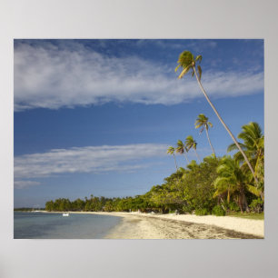 Strand und Palmen, Plantation Island Resort Poster