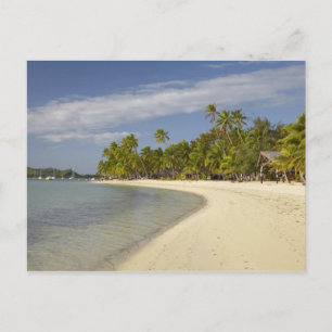 Strand und Palmen, Plantation Island Resort Postkarte