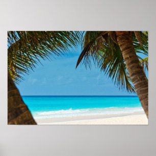 Strand und Palmen Poster
