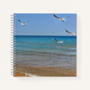 Strand und Seagulls Notizbuch