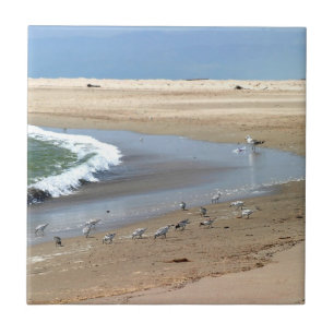 Strand-Vögel Fliese