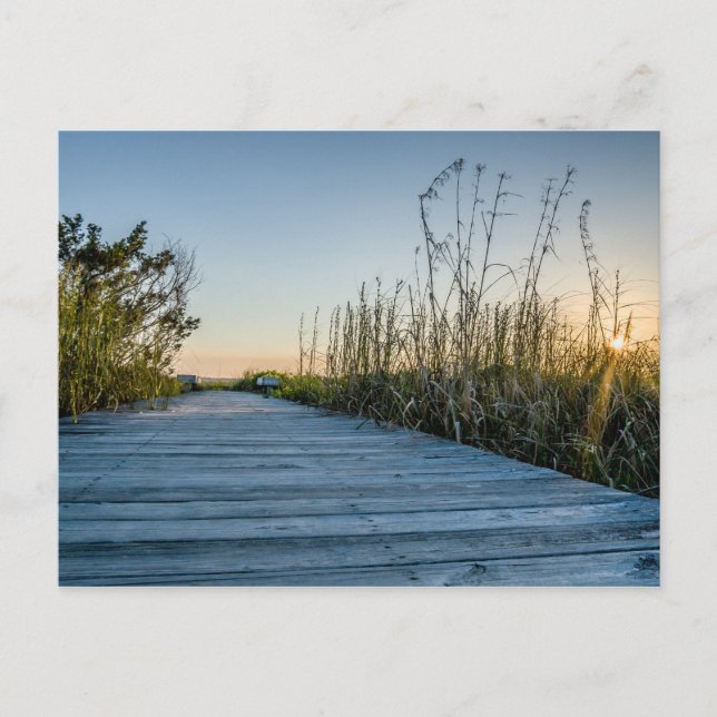 Strand von Edisto, South Carolina Postkarte (Vorderseite)