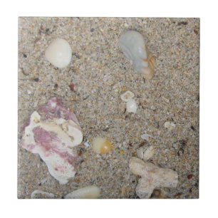 Strand von Fort Lauderdale, Sand, Muscheln, Korall Fliese