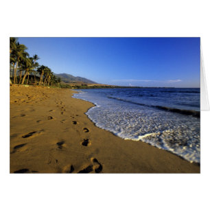 Strand von Kaanapali, Maui, Hawaii, USA