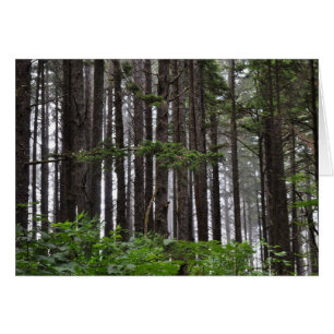 Strand von La Push, WA