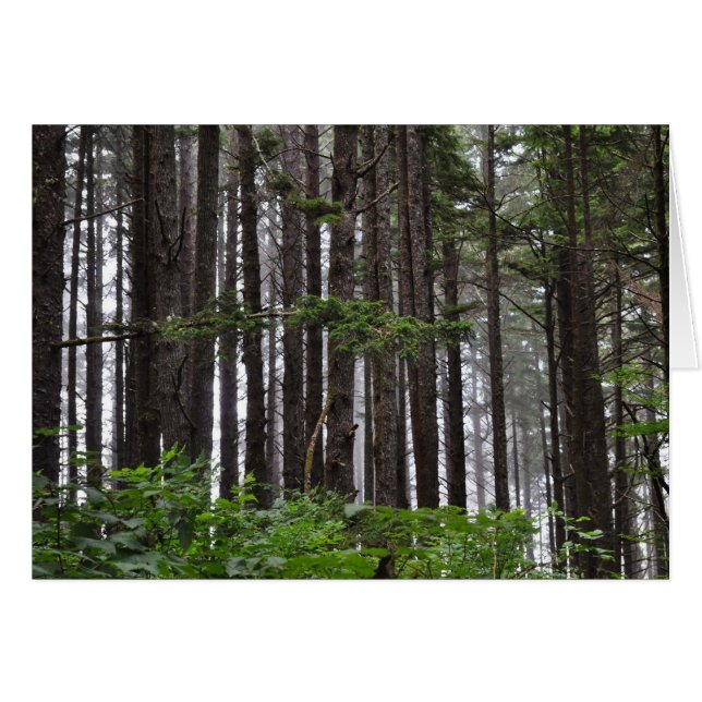 Strand von La Push, WA (Vorderseite (Horizontal))