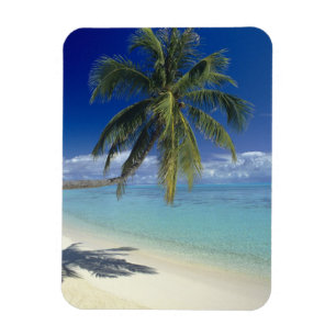 Strand von Matira auf der Insel Bora Bora, Gesells Magnet
