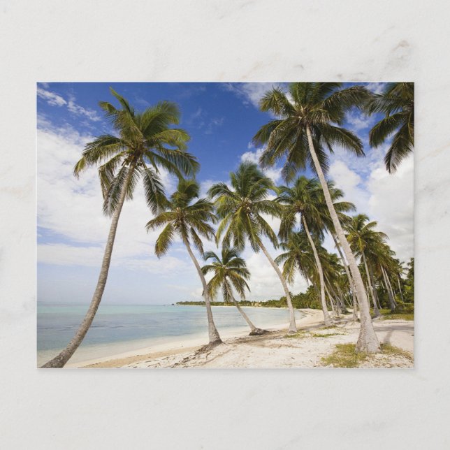 Strand von Punta Cana Postkarte (Vorderseite)
