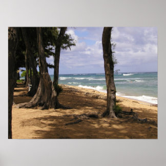 Strand, Wailua, Kauai Poster