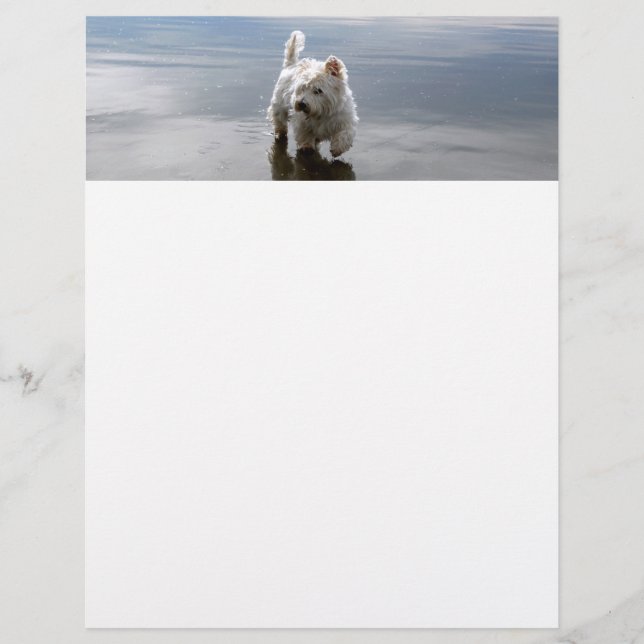 Strand Westie Reflection Schreibwarenpapier Briefbogen (Vorderseite)