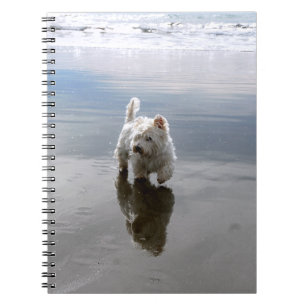 Strand Westie Reflexions-Foto-Notizbuch Notizblock