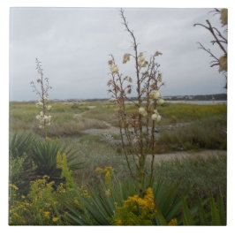 Strand-Wolken und Wildblumen - Eichen-Insel, NC Fliese