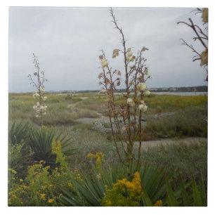 Strand-Wolken und Wildblumen - Eichen-Insel, NC Fliese