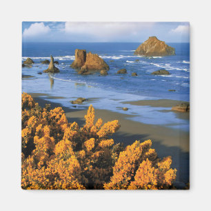 Strandblick Oregon in Bandon Magnet