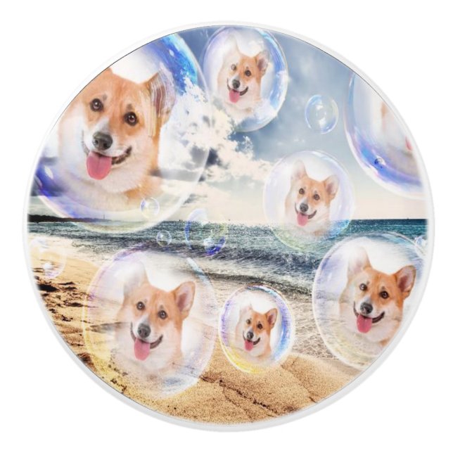 StrandCorgis Keramikknauf (Vorderseite)