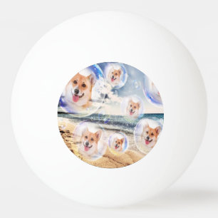 StrandCorgis Tischtennisball