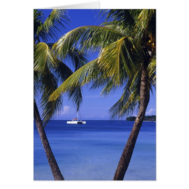 Strände von Negril, Jamaika (Vorne)