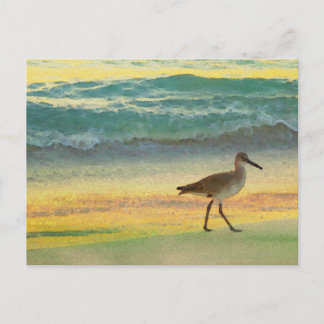 Strandfarbener Sonnenuntergang mit Sandpiper Postkarte