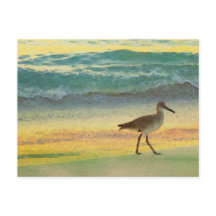 Strandfarbener Sonnenuntergang mit Sandpiper