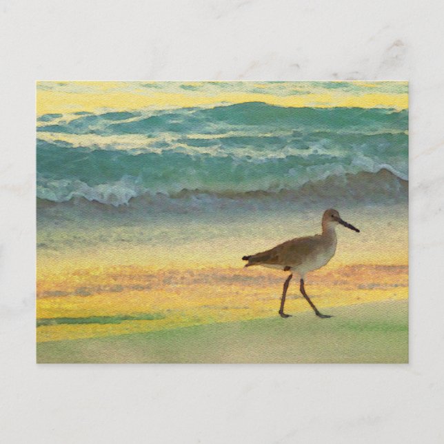 Strandfarbener Sonnenuntergang mit Sandpiper Postkarte (Vorderseite)