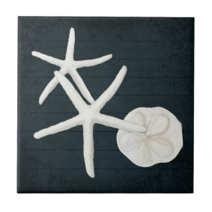 Strandfisch Sanddollar-Muscheln Navy Blauer Wald Fliese