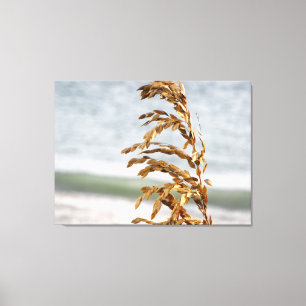 Strandhafer, Meeresbrise Leinwanddruck