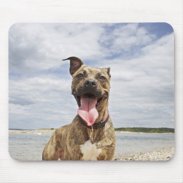 Strandhund Mousepad (Vorne)