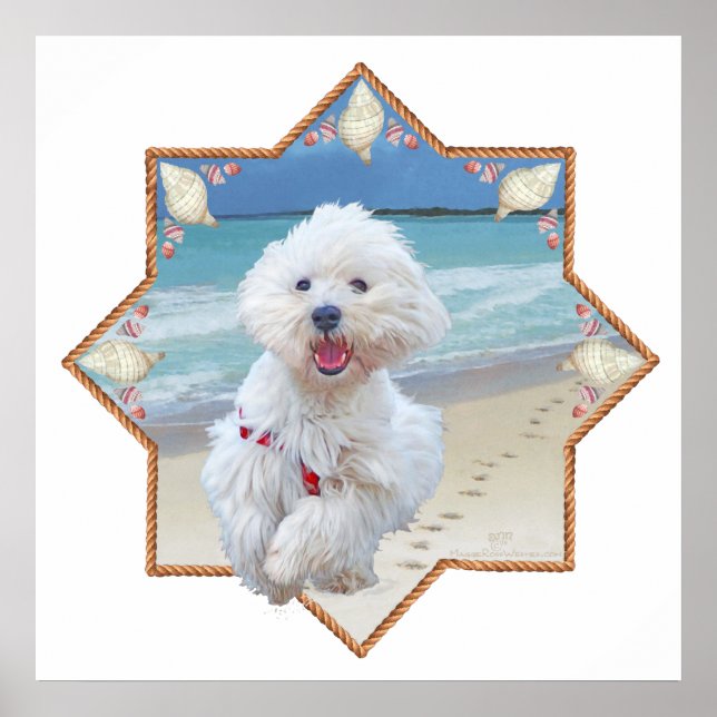 Strandlauf Poster (Vorne)