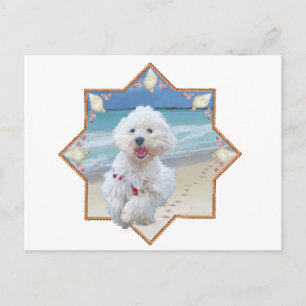 Strandlauf Postkarte