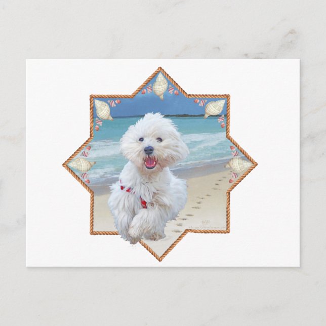 Strandlauf Postkarte (Vorderseite)