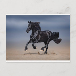 Strandlauf Postkarte