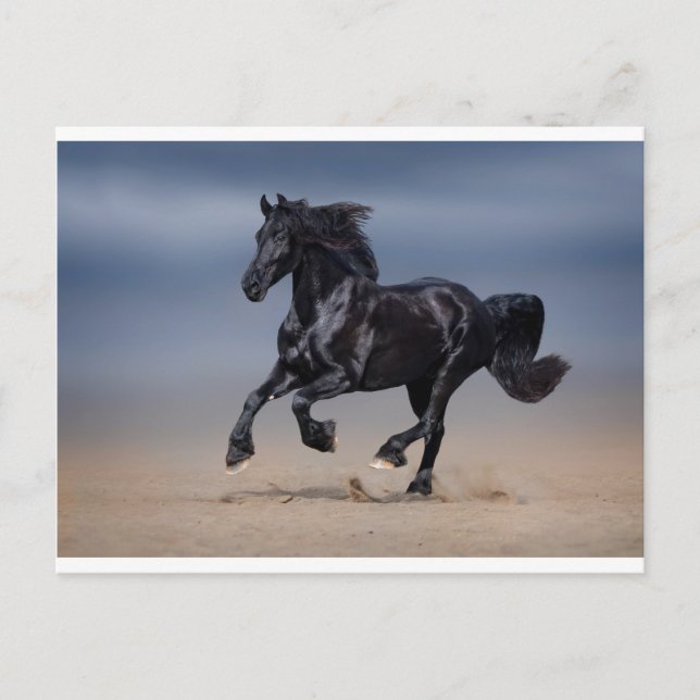 Strandlauf Postkarte (Vorderseite)