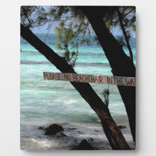 Strandliegen Rum Point Grand Cayman Fotoplatte