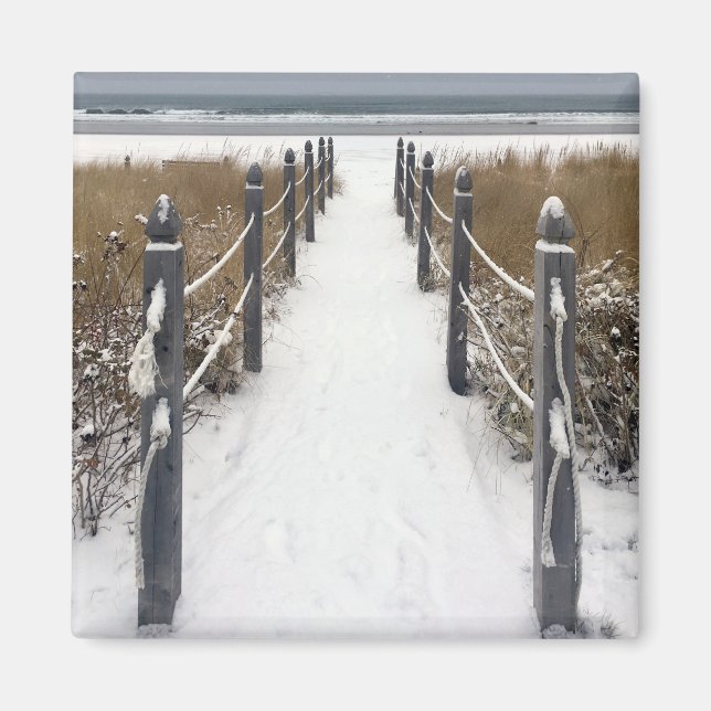Strandmais Magnet (Vorne)