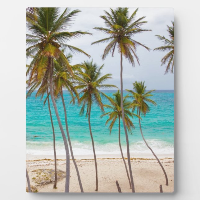 Strandpalmen Fotoplatte (Vorderseite)