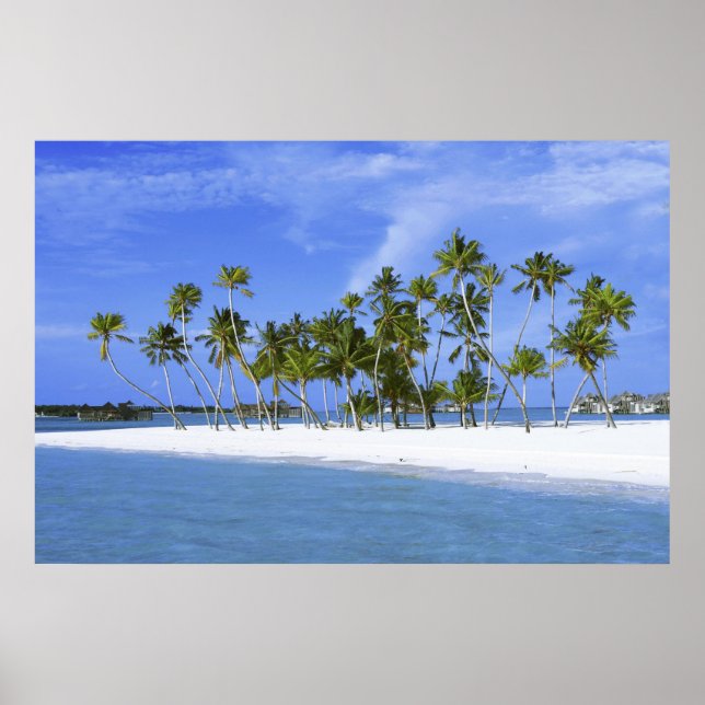Strandparadies mit Hängematte_Maldives Plakat (Vorne)