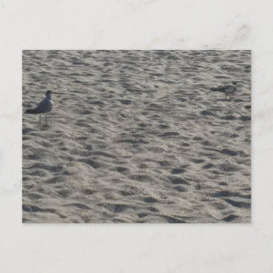 Strandpostkarte Postkarte