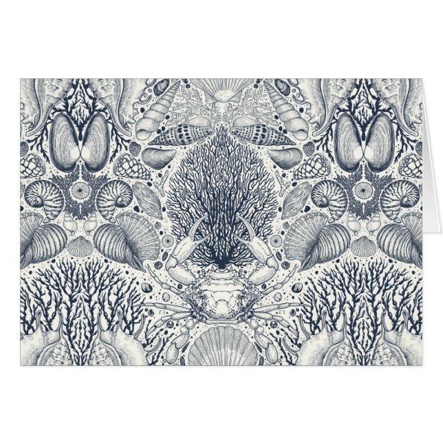 Strandschätze, Muscheln, Krabben, Korallen und Mee (Vorderseite (Horizontal))