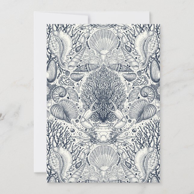 Strandschätze, Muscheln, Krabben, Korallen und Mee (Vorderseite)