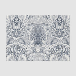 Strandschätze, Muscheln, Krabben, Korallen und Mee Seidenpapier