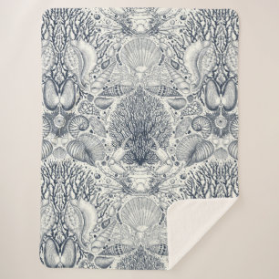 Strandschätze, Muscheln, Krabben, Korallen und Mee Sherpadecke