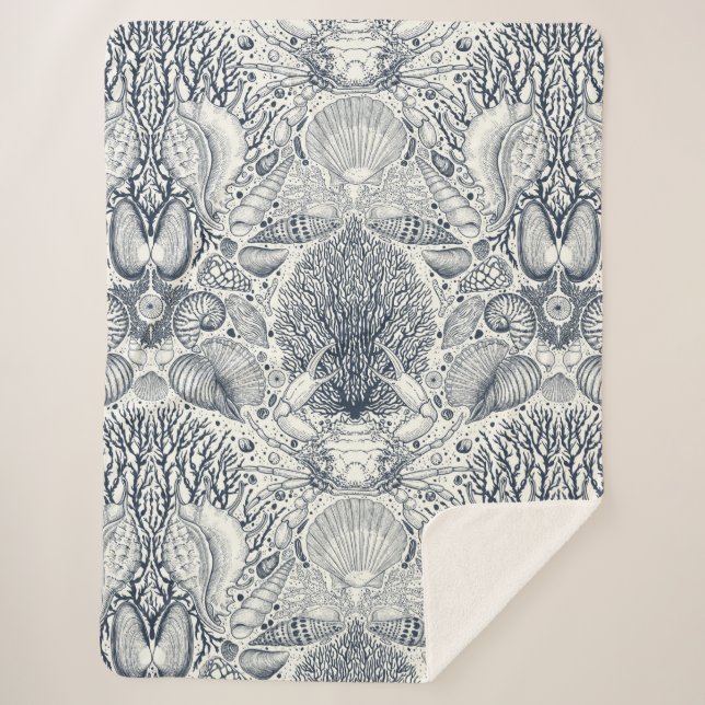 Strandschätze, Muscheln, Krabben, Korallen und Mee Sherpadecke (Vorderseite)