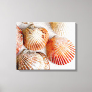 Strandseashells-Kunst-Leinwand-Druck Leinwanddruck
