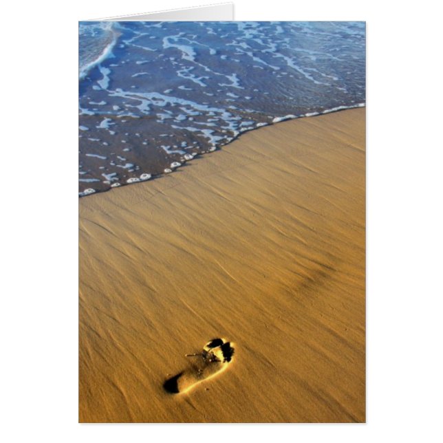 Strandspaziergänge (Vorne)