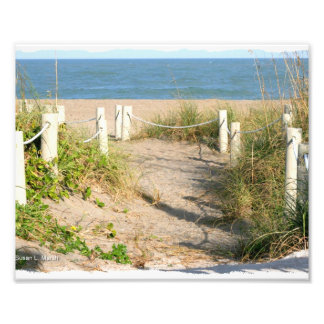 Strandspazierweg Düne abseilend von Florida Beach Fotodruck